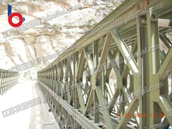 100�ͱ�����-����˫�� ��ǿ���³�ʽ